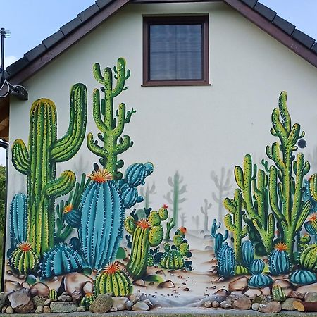 Domki Kaktus Osieki  Exterior foto