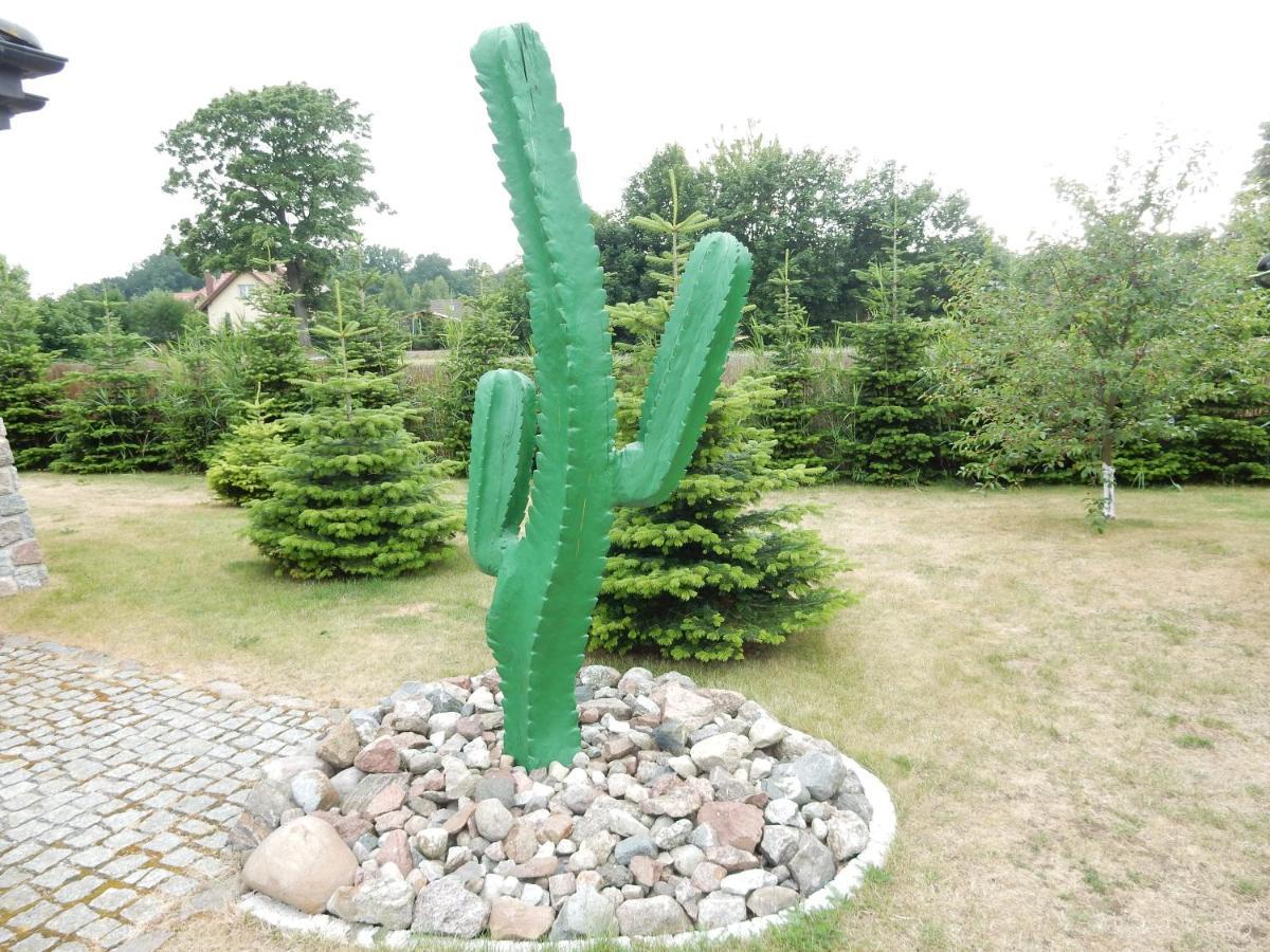 Domki Kaktus Osieki  Exterior foto